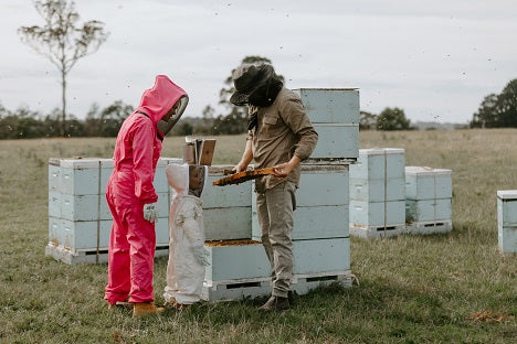 Tambo Valley Honey Story